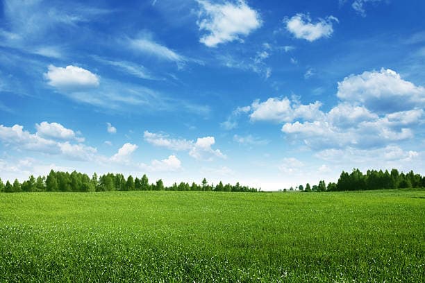 Original landscape before local media processing